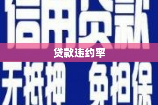 瑞昌贷款违约率