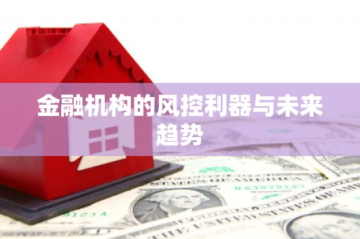 瑞昌金融机构的风控利器与未来趋势