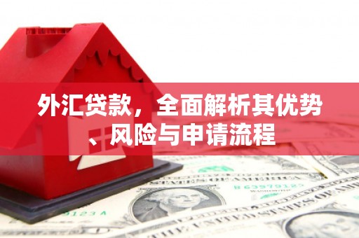 瑞昌外汇贷款，全面解析其优势、风险与申请流程