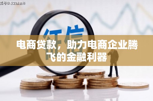 瑞昌电商贷款，助力电商企业腾飞的金融利器