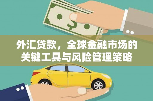 瑞昌外汇贷款，全球金融市场的关键工具与风险管理策略