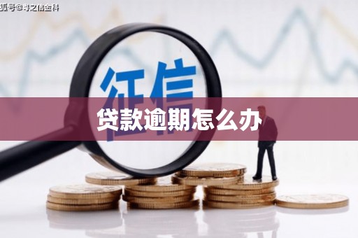 瑞昌贷款逾期怎么办