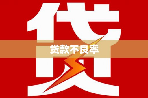 瑞昌贷款不良率