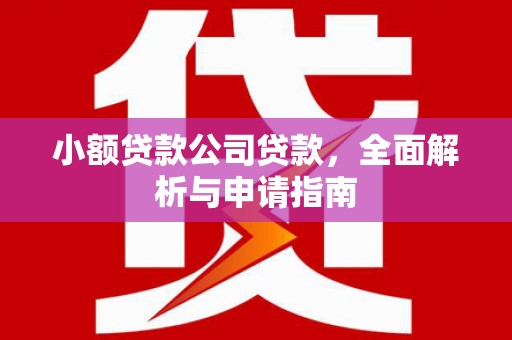 瑞昌小额贷款公司贷款，全面解析与申请指南