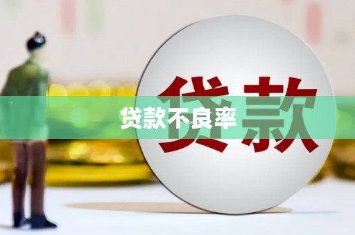瑞昌贷款不良率