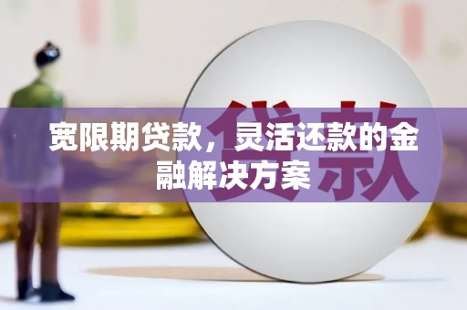 瑞昌宽限期贷款，灵活还款的金融解决方案