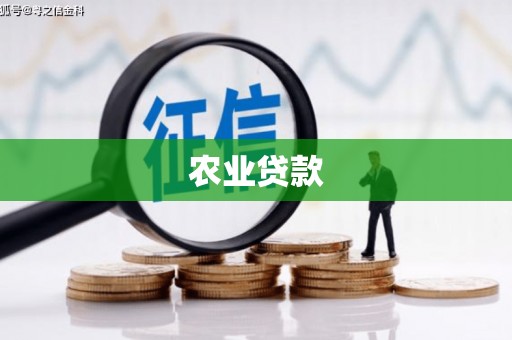 瑞昌农业贷款