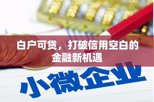 瑞昌白户可贷，打破信用空白的金融新机遇