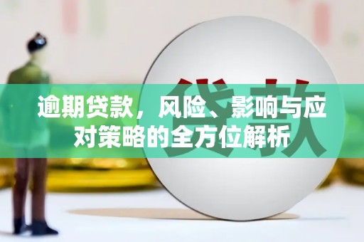 瑞昌逾期贷款，风险、影响与应对策略的全方位解析