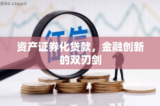 瑞昌资产证券化贷款，金融创新的双刃剑