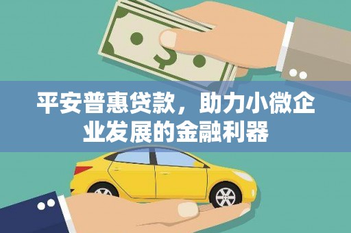 瑞昌平安普惠贷款，助力小微企业发展的金融利器