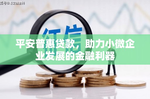 瑞昌平安普惠贷款，助力小微企业发展的金融利器