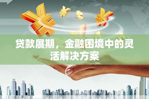 瑞昌贷款展期，金融困境中的灵活解决方案