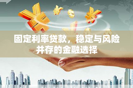 瑞昌固定利率贷款，稳定与风险并存的金融选择