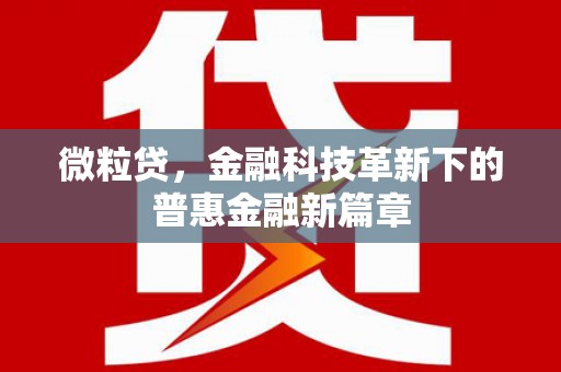 瑞昌微粒贷，金融科技革新下的普惠金融新篇章