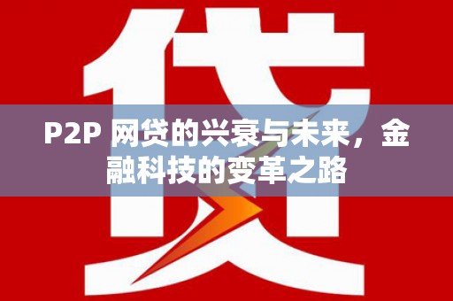 瑞昌P2P 网贷的兴衰与未来，金融科技的变革之路