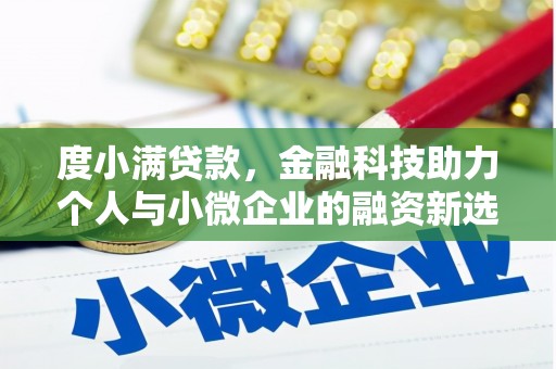 瑞昌度小满贷款，金融科技助力个人与小微企业的融资新选择