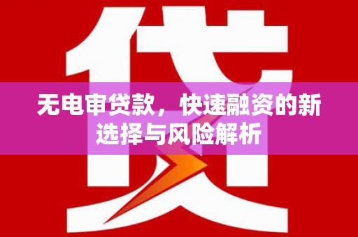 瑞昌无电审贷款，快速融资的新选择与风险解析