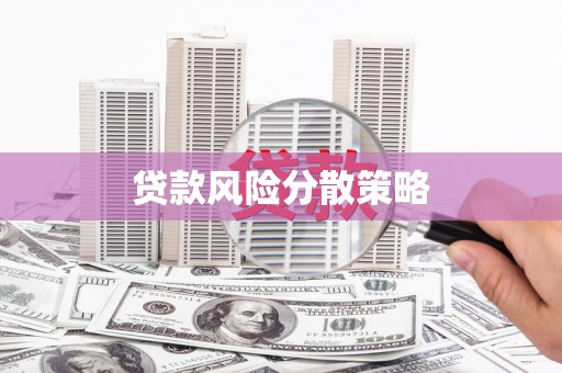瑞昌贷款风险分散策略