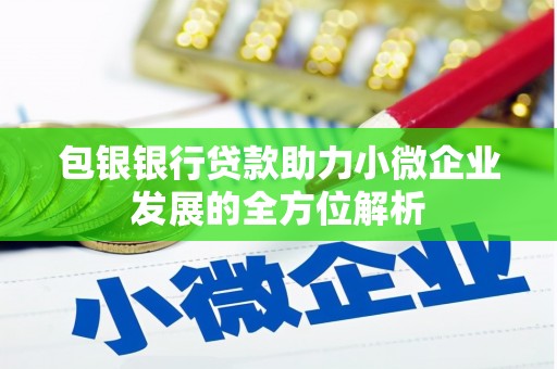 瑞昌包银银行贷款助力小微企业发展的全方位解析