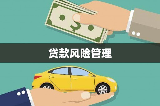 瑞昌贷款风险管理