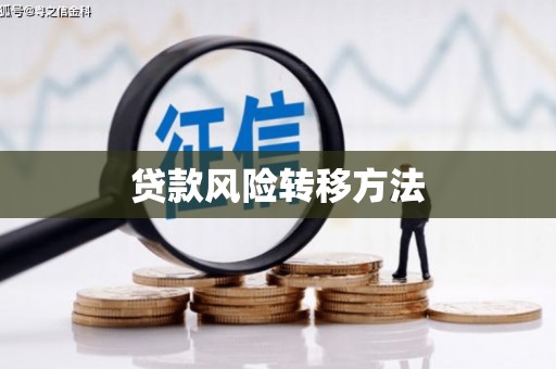 瑞昌贷款风险转移方法