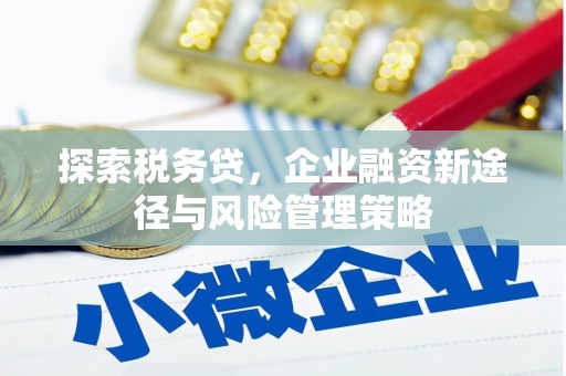 瑞昌探索税务贷，企业融资新途径与风险管理策略