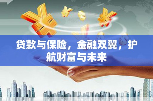 瑞昌贷款与保险，金融双翼，护航财富与未来