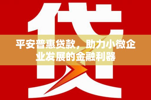 瑞昌平安普惠贷款，助力小微企业发展的金融利器