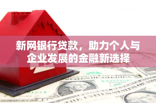 瑞昌新网银行贷款，助力个人与企业发展的金融新选择