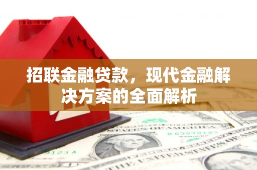 瑞昌招联金融贷款，现代金融解决方案的全面解析
