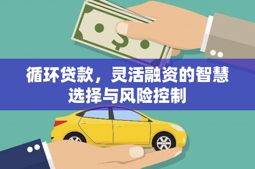 瑞昌循环贷款，灵活融资的智慧选择与风险控制