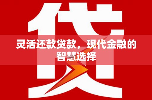 瑞昌灵活还款贷款，现代金融的智慧选择