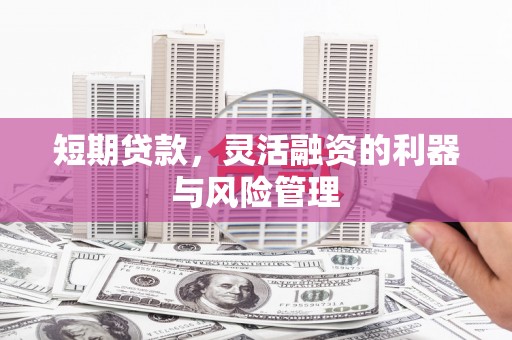 瑞昌短期贷款，灵活融资的利器与风险管理