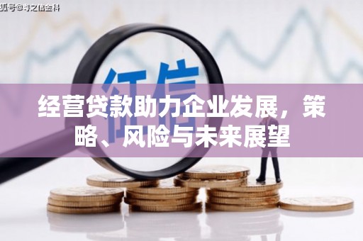 瑞昌经营贷款助力企业发展，策略、风险与未来展望