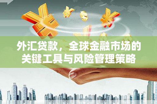 瑞昌外汇贷款，全球金融市场的关键工具与风险管理策略