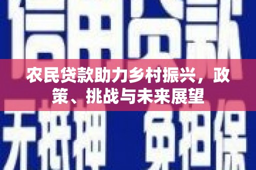 瑞昌农民贷款助力乡村振兴，政策、挑战与未来展望