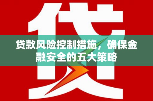 瑞昌贷款风险控制措施，确保金融安全的五大策略