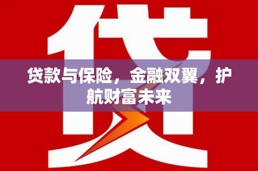 瑞昌贷款与保险，金融双翼，护航财富未来