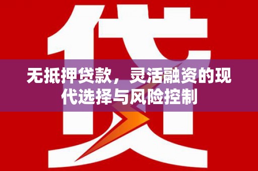 瑞昌无抵押贷款，灵活融资的现代选择与风险控制