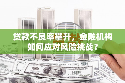 瑞昌贷款不良率攀升，金融机构如何应对风险挑战？