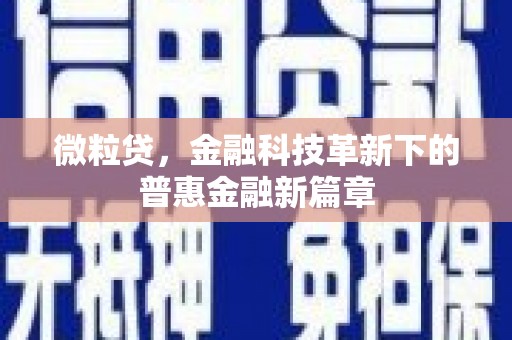 瑞昌微粒贷，金融科技革新下的普惠金融新篇章