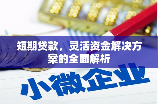 瑞昌短期贷款，灵活资金解决方案的全面解析