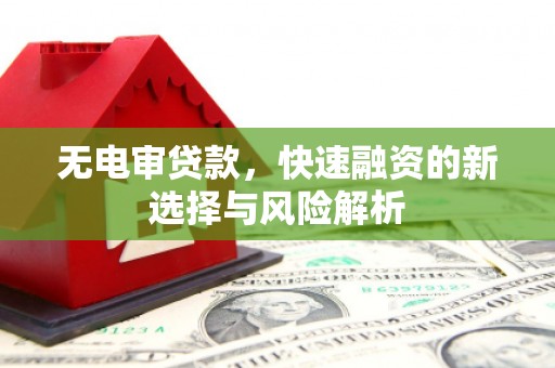 瑞昌无电审贷款，快速融资的新选择与风险解析