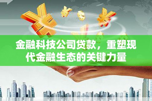 瑞昌金融科技公司贷款，重塑现代金融生态的关键力量