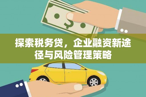 瑞昌探索税务贷，企业融资新途径与风险管理策略