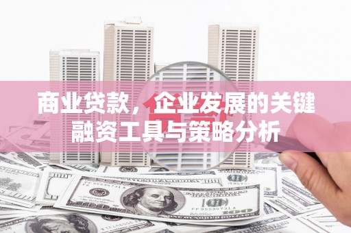 瑞昌商业贷款，企业发展的关键融资工具与策略分析