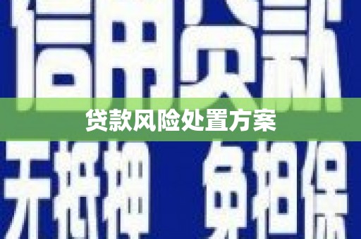 瑞昌贷款风险处置方案