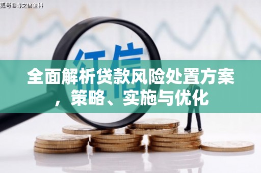 瑞昌全面解析贷款风险处置方案，策略、实施与优化