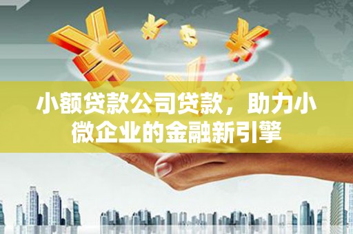 瑞昌小额贷款公司贷款，助力小微企业的金融新引擎